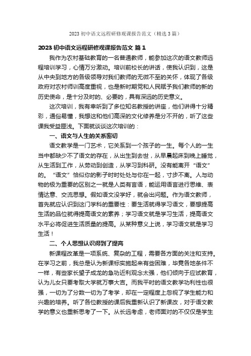 2023初中语文远程研修观课报告范文（精选3篇）