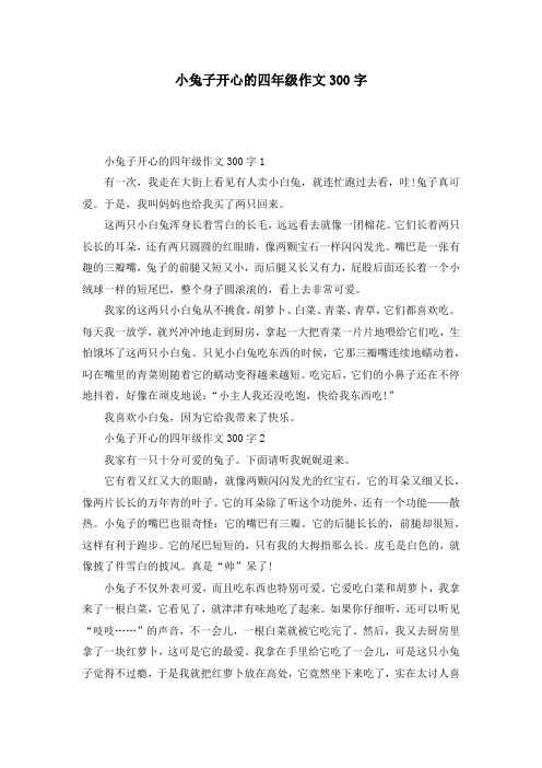 小兔子开心的四年级作文300字