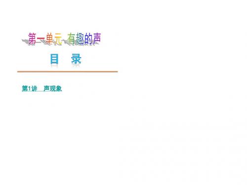 2013届山东省中考物理复习方案课件：第一单元 有趣的声(新课标人教版)