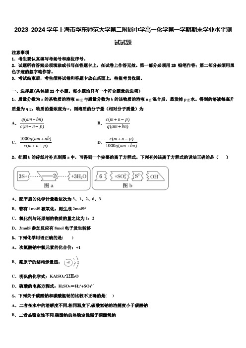 2023-2024学年上海市华东师范大学第二附属中学高一化学第一学期期末学业水平测试试题含解析