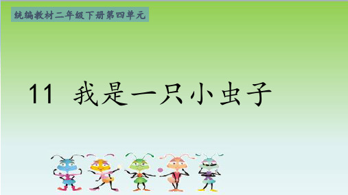 二年级语文下册11我是一只小虫子课件(共25张PPT)