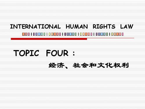 INTERNATIONAL  HUMAN  RIGHTS  LAW(经济、社会和文化权利)