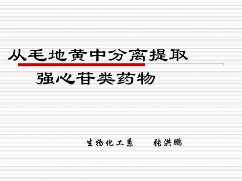 从毛地黄中分离提取强心苷类药物