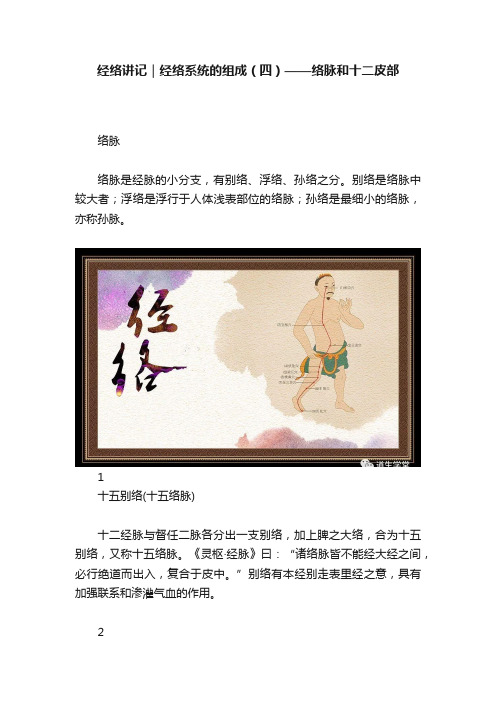 经络讲记｜经络系统的组成（四）——络脉和十二皮部