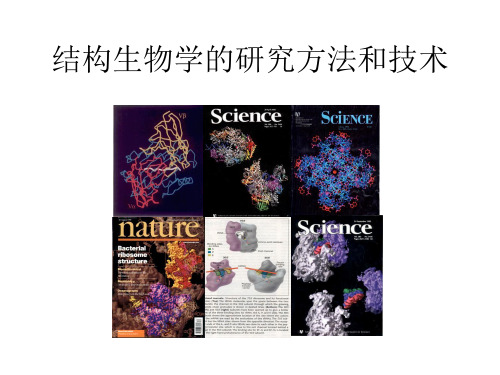 结构生物学(生物大分子解析方法)