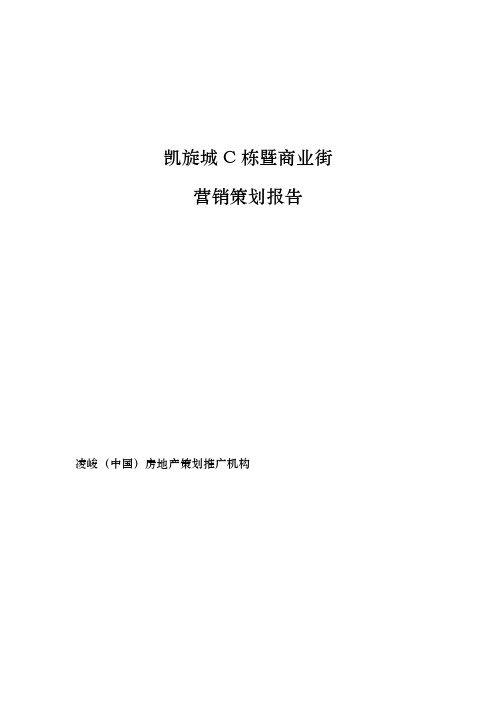 房地产策划推广之商业街营销策划报告