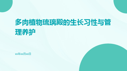 多肉植物琉璃殿的生长习性与管理养护