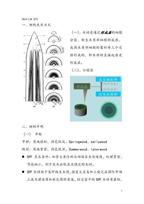 SPF 加松 木材学知识简介