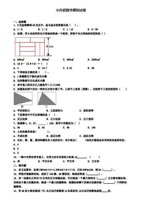 【3份试卷合集】云南省曲靖市2019-2020学年数学小升初考试模拟试题