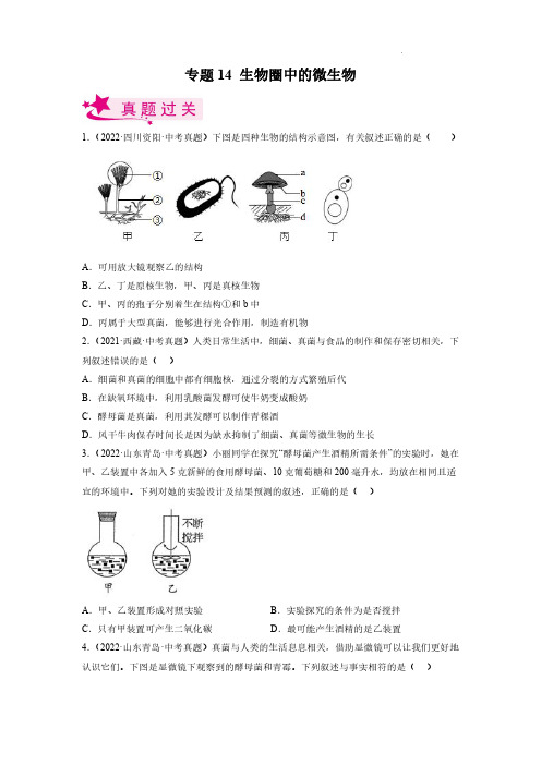 生物圈中的微生物(习题帮)(原卷版)2023年中考生物一轮复习