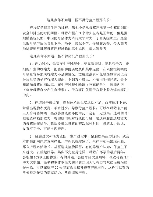 这几点你不知道,怪不得母猪产程那么长!