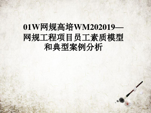 网规高培WM202019—网规工程项目员工素质模型和典型案例分析