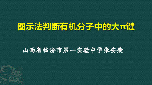 各种各样的大π键