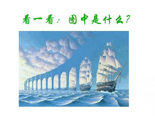 13《事物的正确答案不止一个》课件