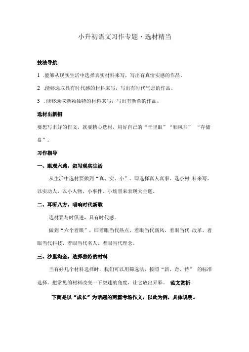 小升初语文习作专题选材精当  习作指导(附习作赏析)人教统编版1