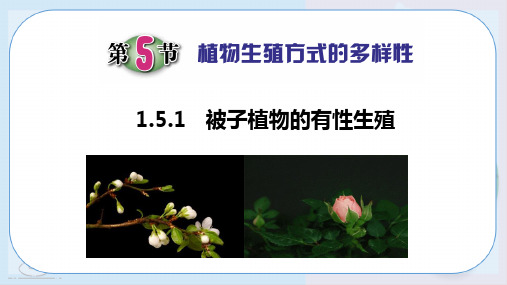 1.植物生殖方式的多样性(第1课时,26张)PPT课件(初中科学)