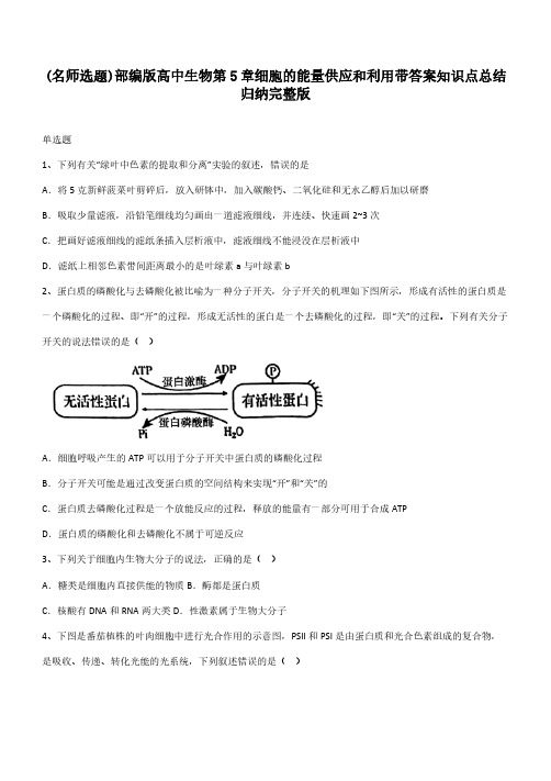 部编版高中生物第5章细胞的能量供应和利用带答案知识点总结归纳完整版