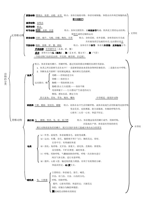 动物的分类