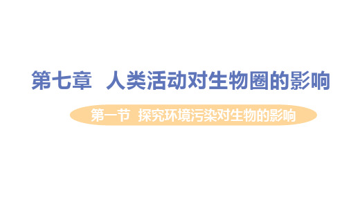 人教版七年级生物下册 第二节  探究环境污染对生物的影响 精品教学课件