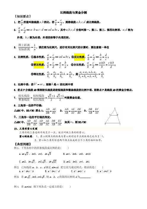 八年级数学-比例线段与黄金分割