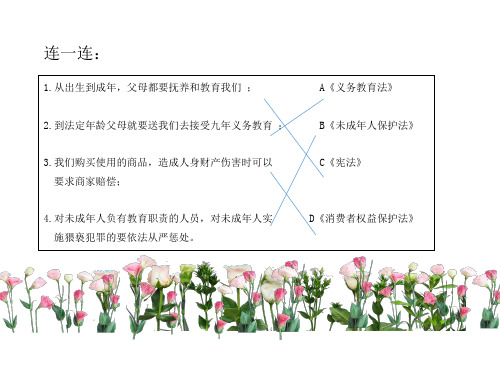 北师大版七年级下册道德与法治 第2站 学会用法维权 