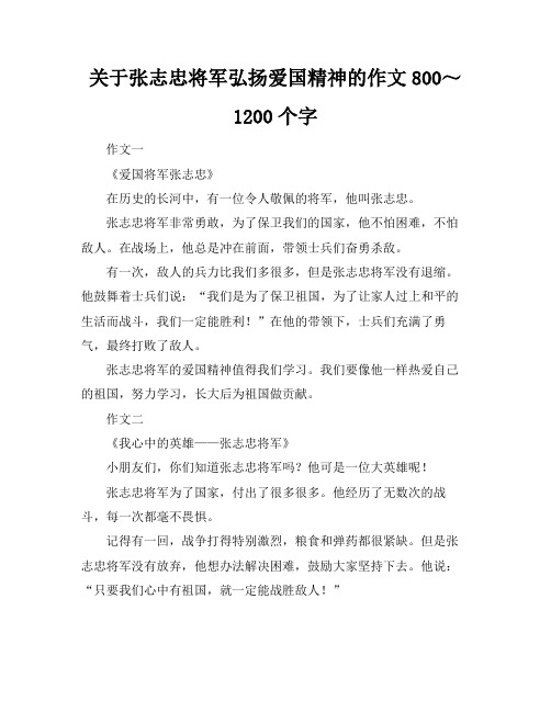 关于张志忠将军弘扬爱国精神的作文800～1200个字