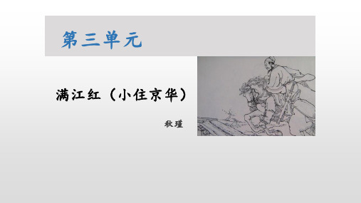 新部编人教版初中九年级语文下册《满江红》优质教学课件