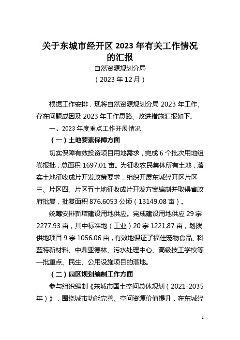 经开区自然资源规划分局务虚会材料、年度总结