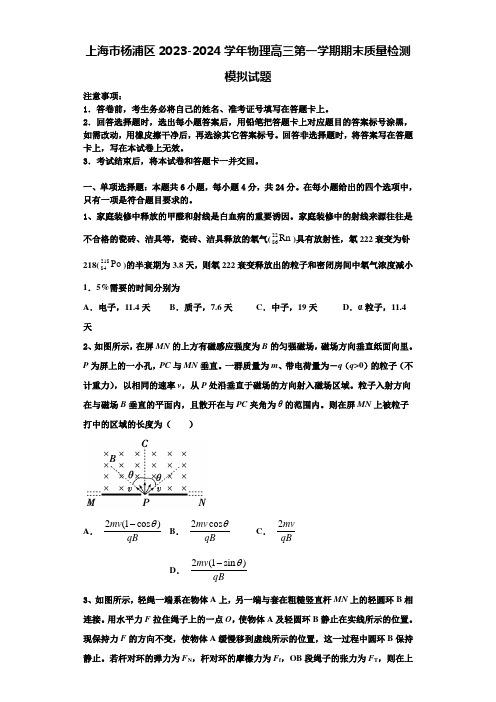 上海市杨浦区2023-2024学年物理高三第一学期期末质量检测模拟试题含解析