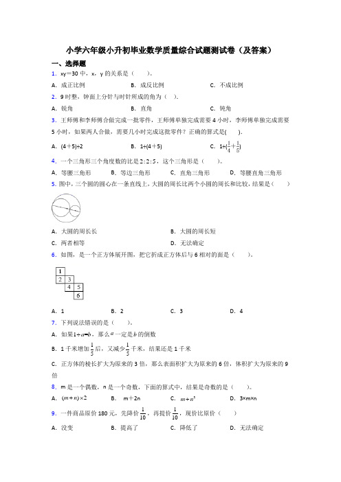 小学六年级小升初毕业数学质量综合试题测试卷(及答案)