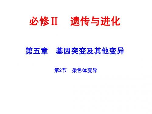 2015届高考生物一轮复习课件：2.5.2 染色体变异(人教版)