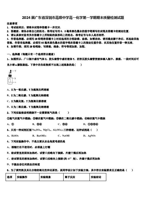 2024届广东省深圳市高级中学高一化学第一学期期末质量检测试题含解析