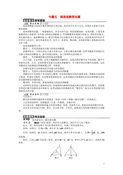 中考数学总复习 专题五 阅读理解型问题教学案