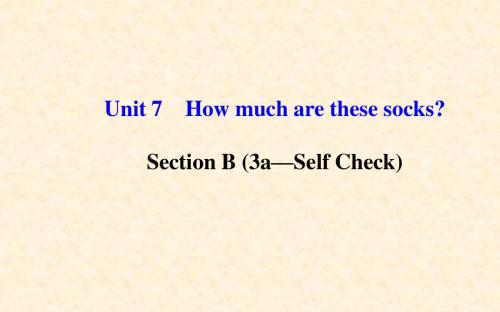 2014年秋七年级英语上册 Unit 7 How much are these socks?Section B(3a—Self Check)人教新目标版