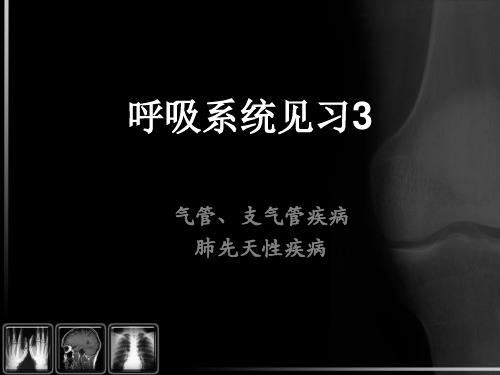 呼吸系统见习PPT