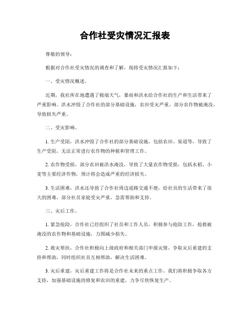 合作社受灾情况汇报表