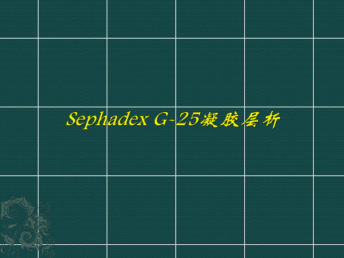 Sephadex G-25凝胶层析