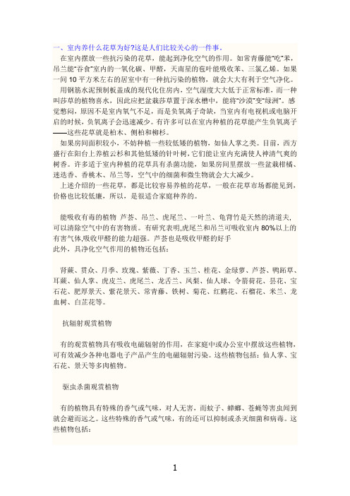 室内放什么花好?