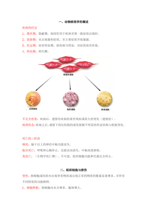 【02】执业兽医【考300+分】的复习总结之【动物病理】