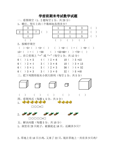 精选学前班期末考试数学试题27汇总共3份