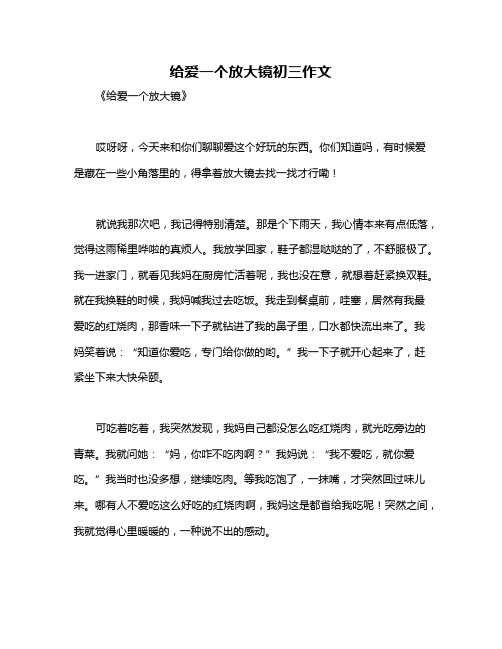 给爱一个放大镜初三作文