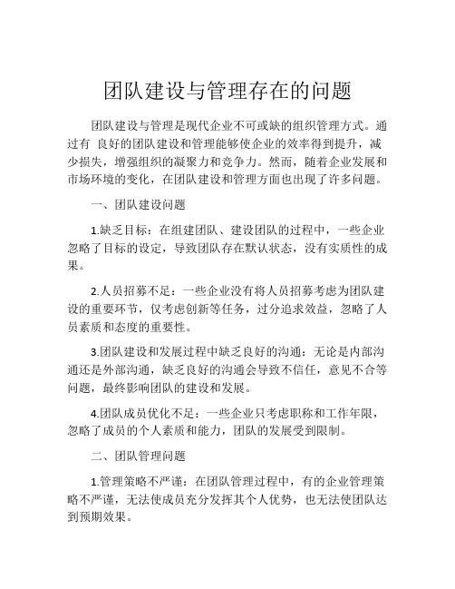 团队建设与管理存在的问题