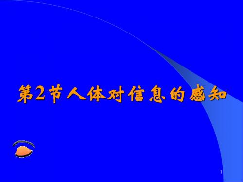 最新苏科版八年级生物上册 人体对信息的感知 (2)