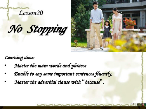 冀教版八年级英语上册 Unit 4 Lesson 20《No Stopping》(共17张PPT)