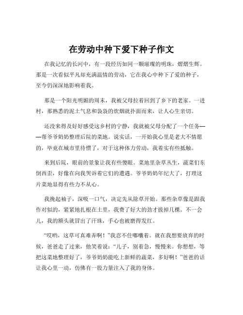 在劳动中种下爱下种子作文