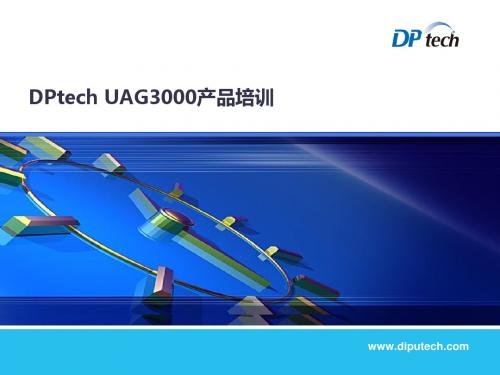 DPtechUAG3000产品培训(PPT67张)