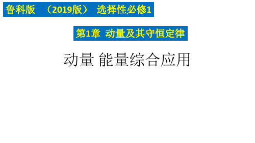 鲁科版高中物理选修一第一章 动量及其守恒定律 课件(26张PPT)