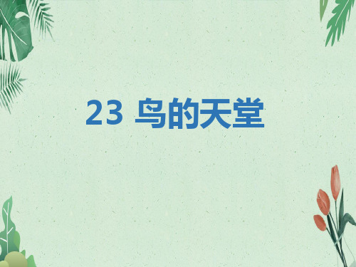 五年级上册语23 鸟的天堂人教(部编版) (共31张PPT)【完美版课件】