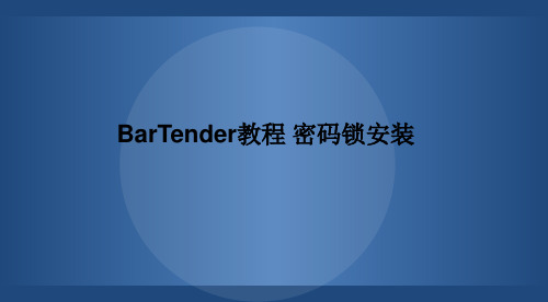 BarTender教程 密码锁安装