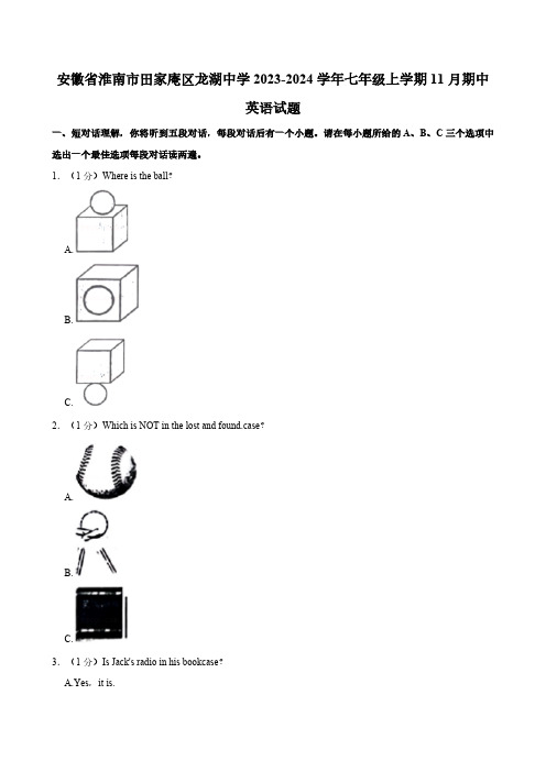 安徽省淮南市田家庵区龙湖中学2023-2024学年七年级上学期11月期中英语试题(含答案,无原文)